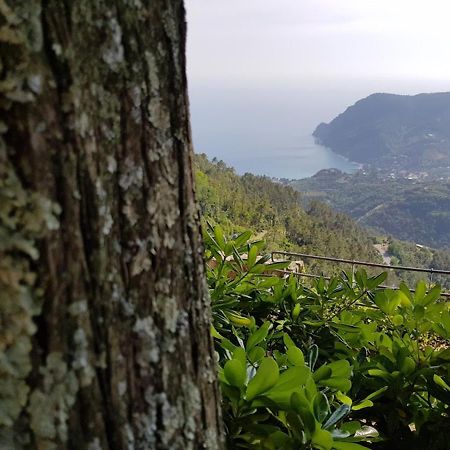 Santuario Ns Soviore Cinque Terre Monterosso al Mare Buitenkant foto