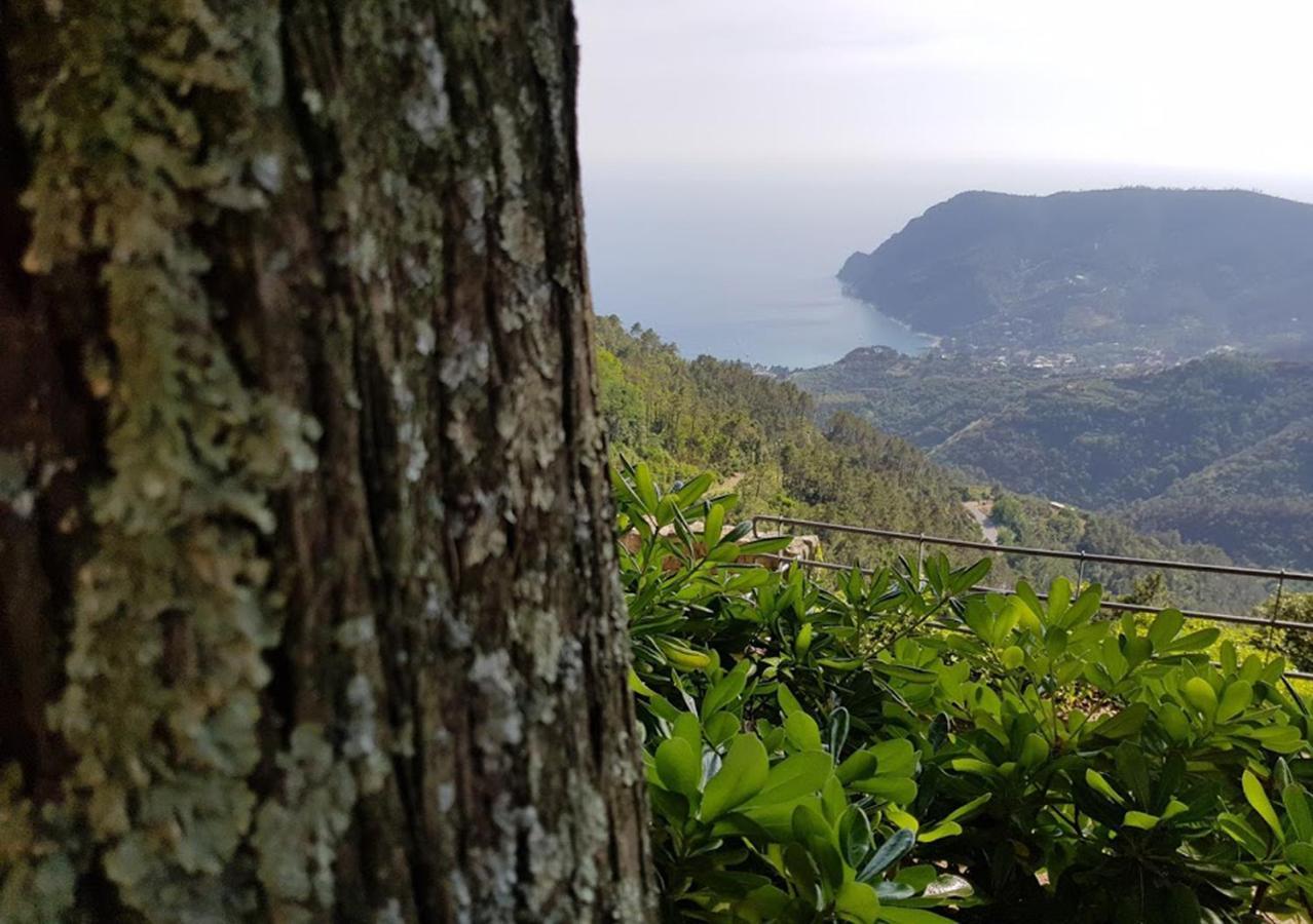 Santuario Ns Soviore Cinque Terre Monterosso al Mare Buitenkant foto